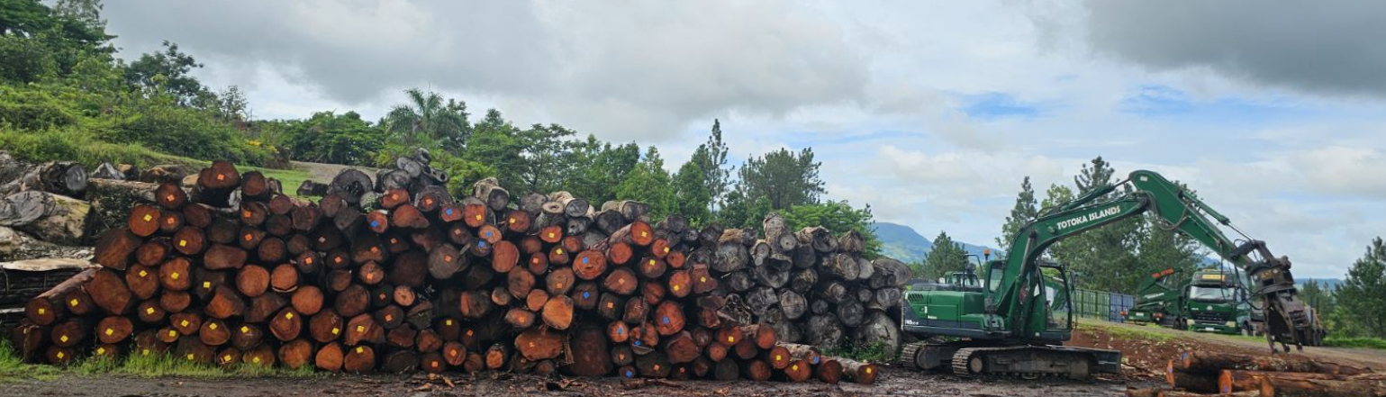 Timber Yard